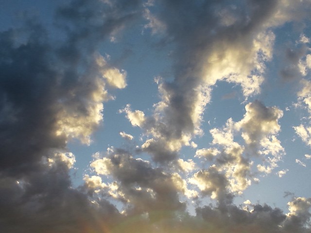 �܂邶��@�܂邶��@����܂���