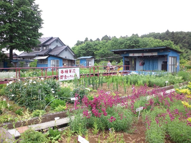 �܂邶��@�܂邶��@����܂���