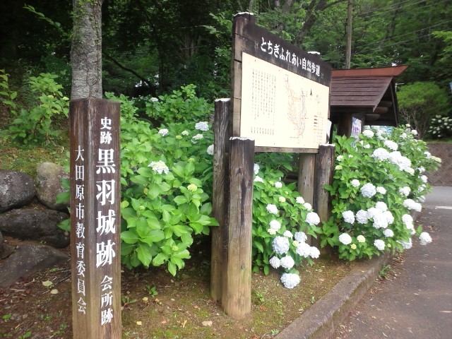 �܂邶��@�܂邶��@����܂���