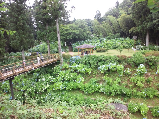 �܂邶��@�܂邶��@����܂���