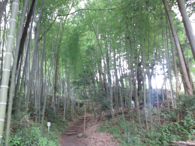 �܂邶��@�܂邶��@����܂���