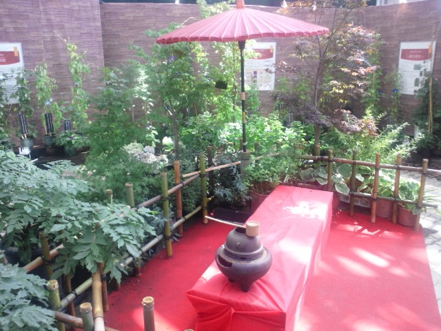 �܂邶��@�܂邶��@����܂���