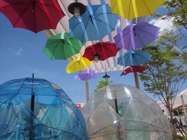 �܂邶��@�܂邶��@����܂���