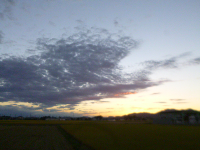 �܂邶��@�܂邶��@����܂���