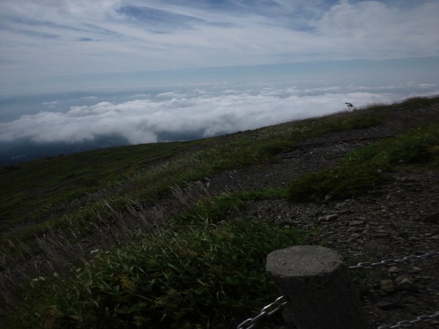 �܂邶��@�܂邶��@����܂���