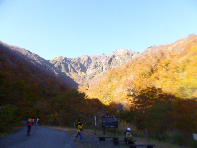 �܂邶��@�܂邶��@����܂���