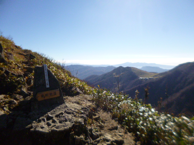 �܂邶��@�܂邶��@����܂���