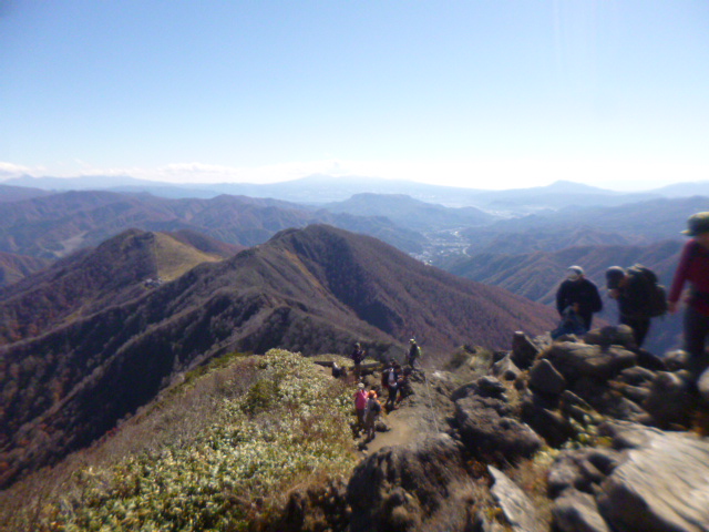 �܂邶��@�܂邶��@����܂���