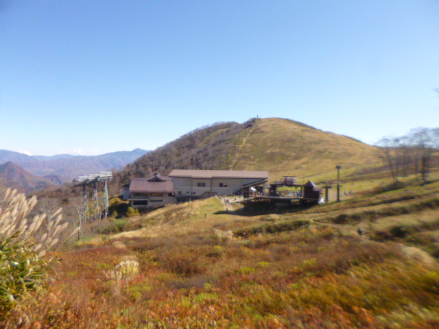 �܂邶��@�܂邶��@����܂���