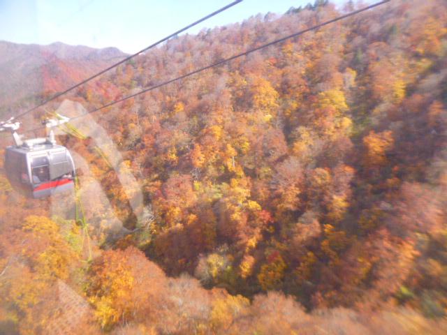 �܂邶��@�܂邶��@����܂���