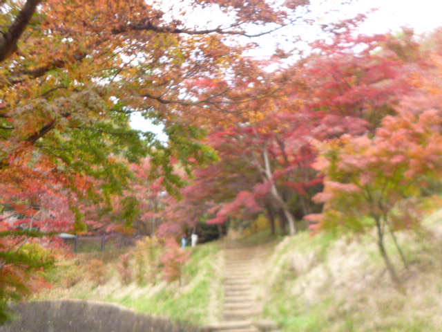 �܂邶��@�܂邶��@����܂���