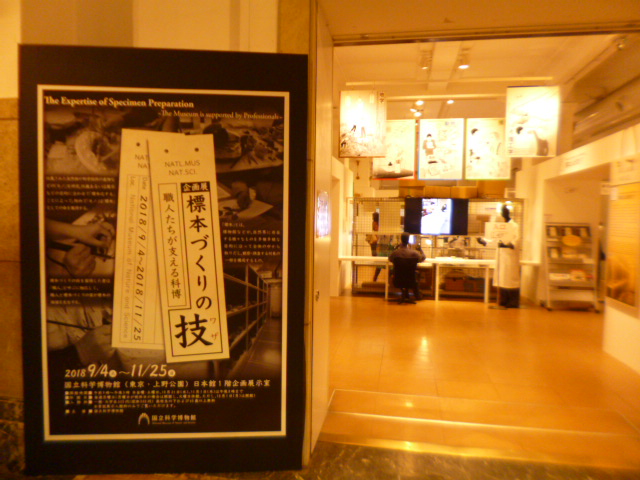 �܂邶��@�܂邶��@����܂���