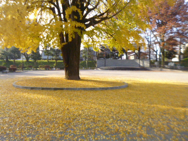 �܂邶��@�܂邶��@����܂���