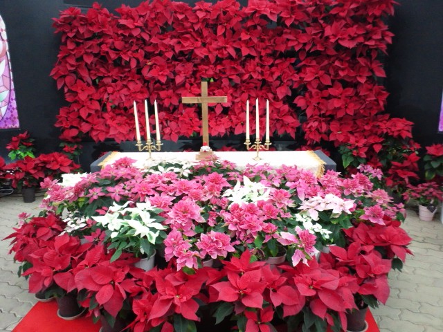 �܂邶��@�܂邶��@����܂���