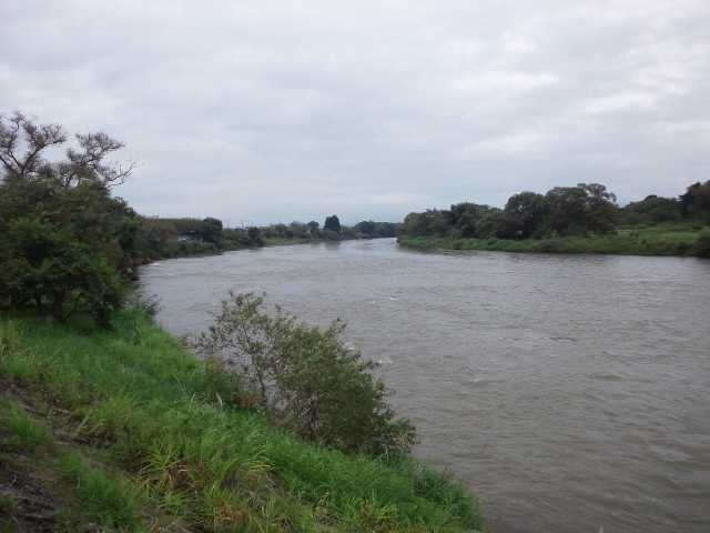 �܂邶��@�܂邶��@����܂���