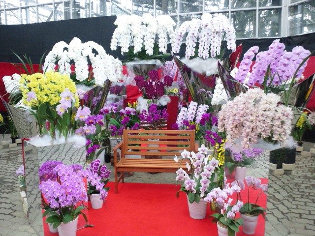 �܂邶��@�܂邶��@����܂���