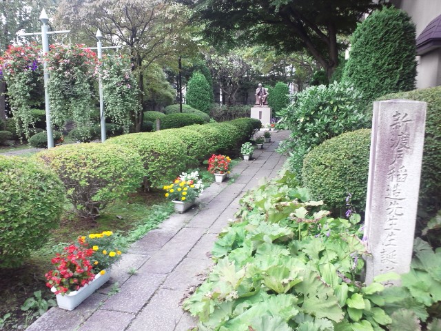 �܂邶��@�܂邶��@����܂���