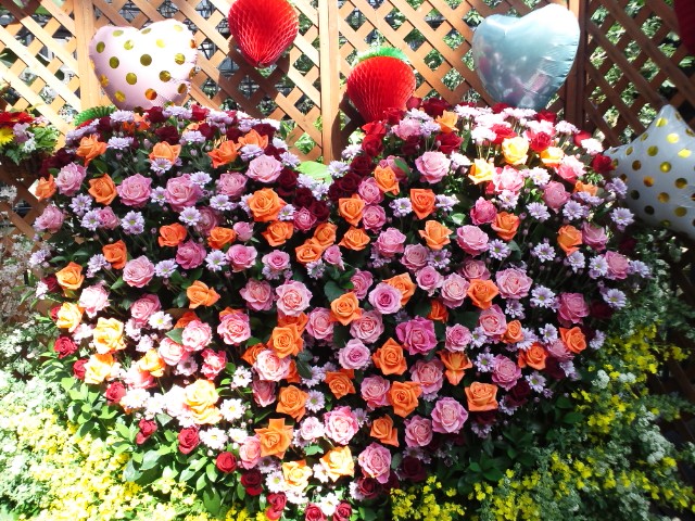 �܂邶��@�܂邶��@����܂���