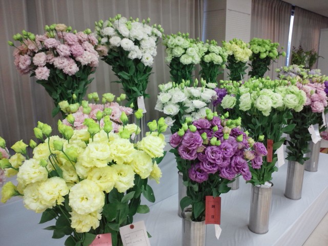 �܂邶��@�܂邶��@����܂���