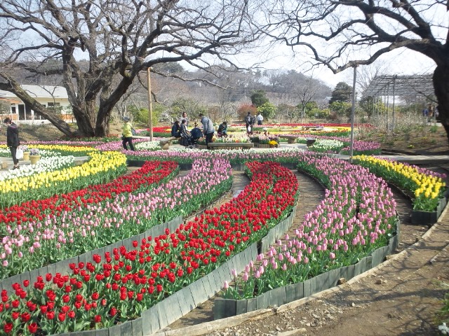 �܂邶��@�܂邶��@����܂���