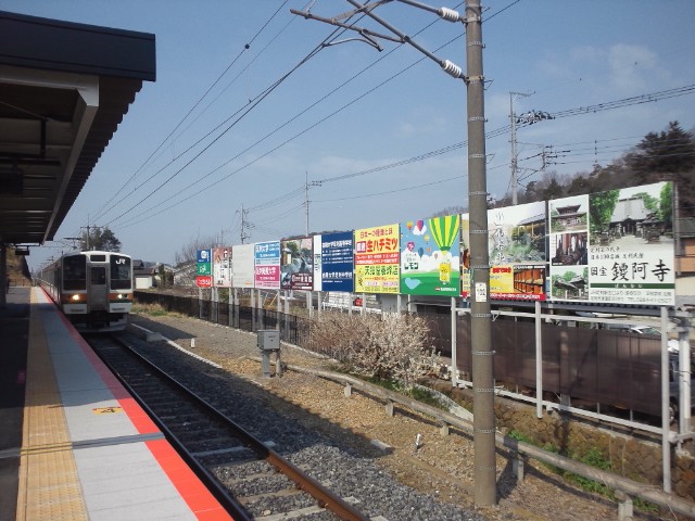 �܂邶��@�܂邶��@����܂���