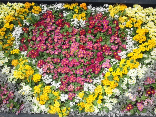 �܂邶��@�܂邶��@����܂���