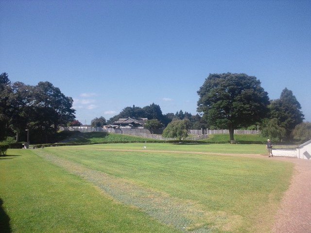 �܂邶��@�܂邶��@����܂���