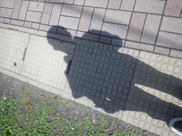 �܂邶��@�܂邶��@����܂���