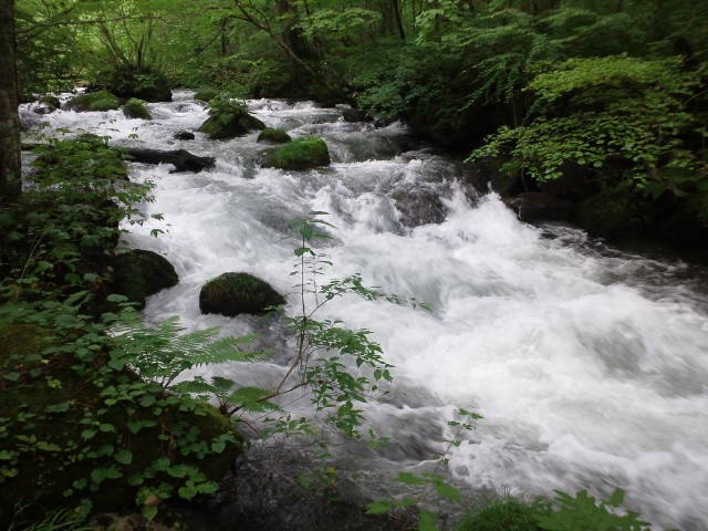 �܂邶��@�܂邶��@����܂���