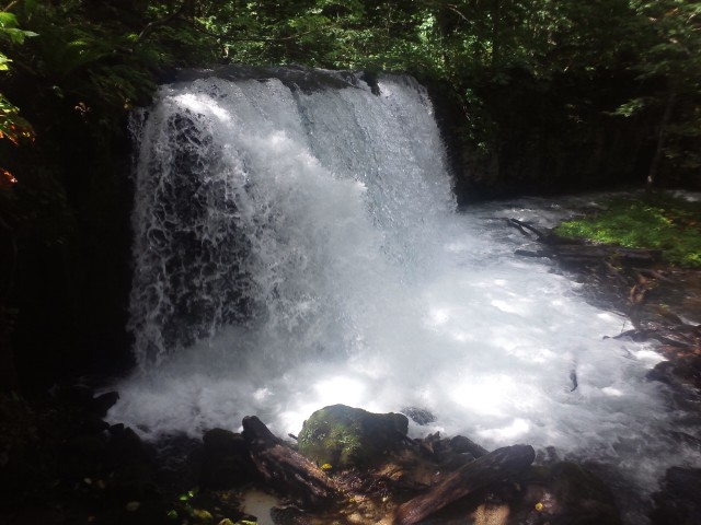 �܂邶��@�܂邶��@����܂���