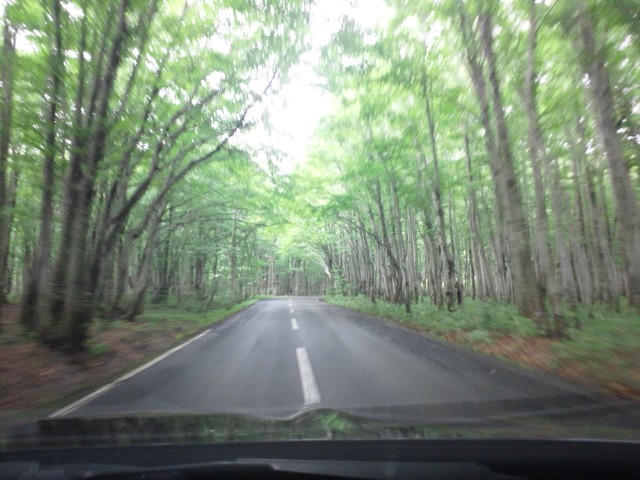 �܂邶��@�܂邶��@����܂���