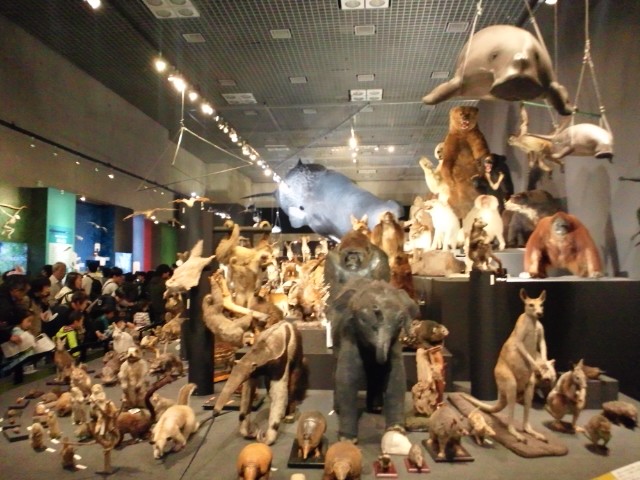 �܂邶��@�܂邶��@����܂���