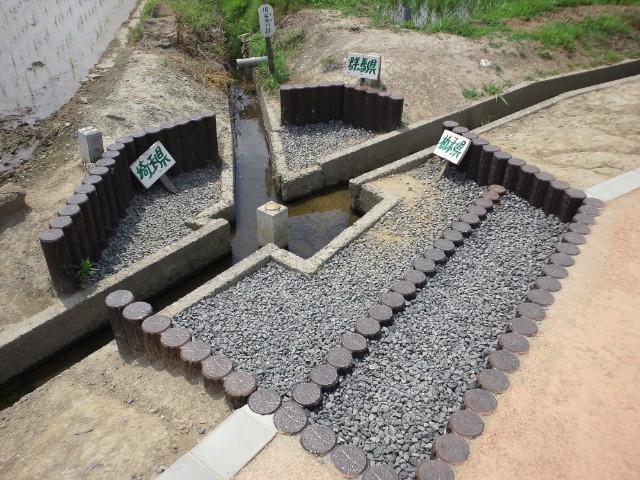 �܂邶��@�܂邶��@����܂���