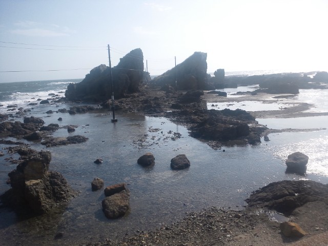 �܂邶��@�܂邶��@����܂���