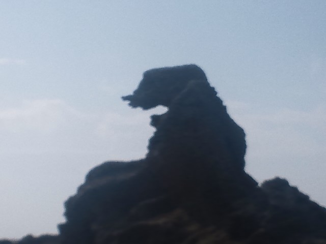 �܂邶��@�܂邶��@����܂���