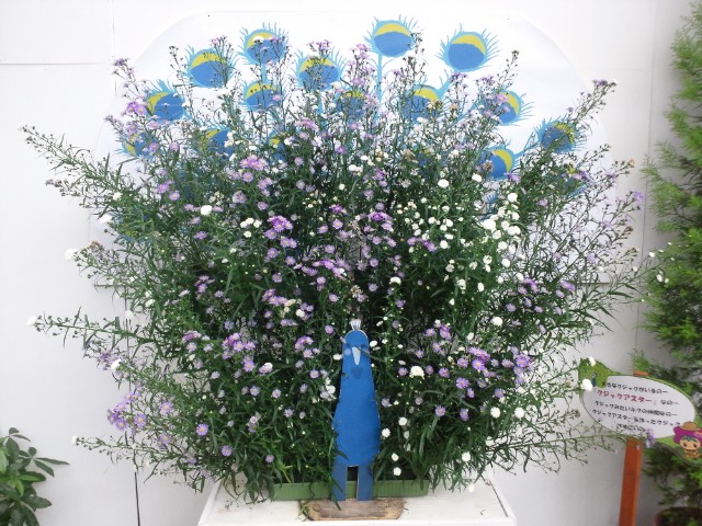 �܂邶��@�܂邶��@����܂���