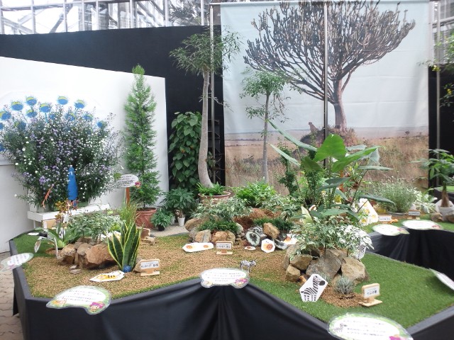 �܂邶��@�܂邶��@����܂���