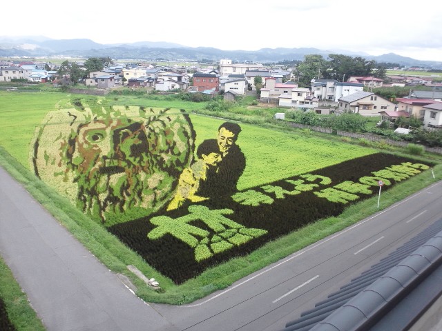 �܂邶��@�܂邶��@����܂���