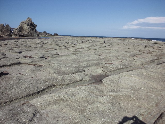 �܂邶��@�܂邶��@����܂���