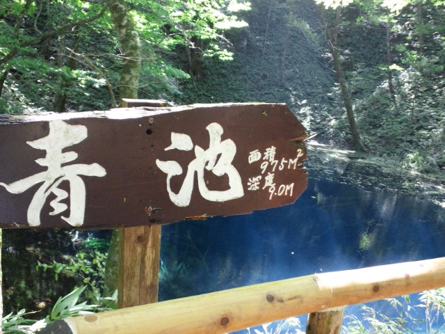 �܂邶��@�܂邶��@����܂���