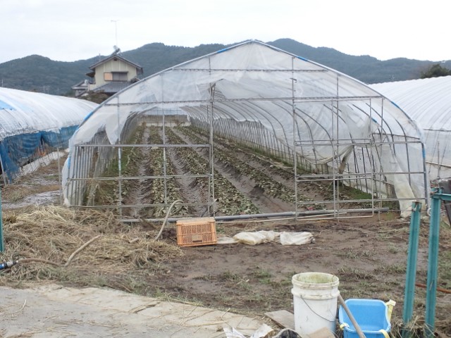 �܂邶��@�܂邶��@����܂���