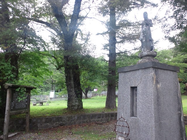 �܂邶��@�܂邶��@����܂���