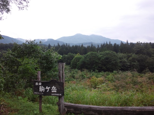 �܂邶��@�܂邶��@����܂���