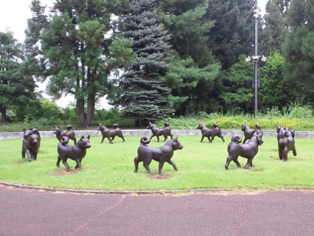 �܂邶��@�܂邶��@����܂���