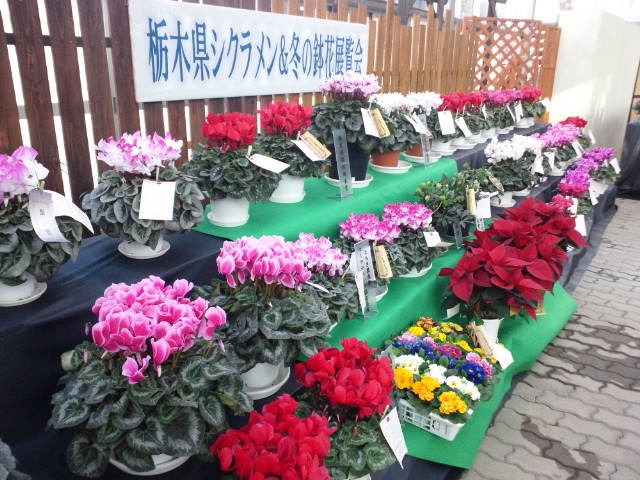 �܂邶��@�܂邶��@����܂���