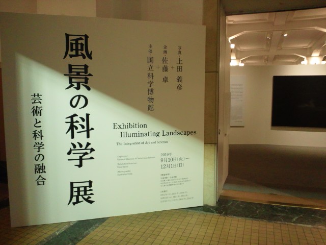 �܂邶��@�܂邶��@����܂���