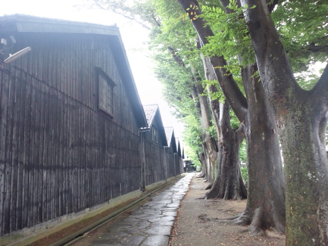 �܂邶��@�܂邶��@����܂���