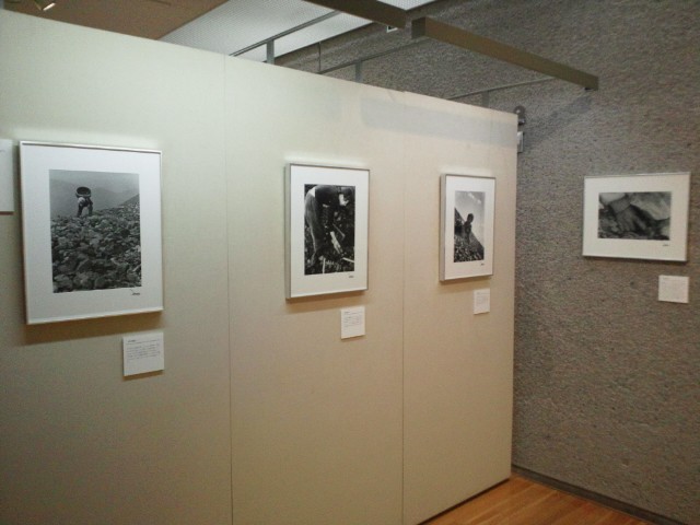 �܂邶��@�܂邶��@����܂���