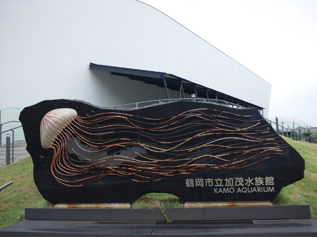 �܂邶��@�܂邶��@����܂���