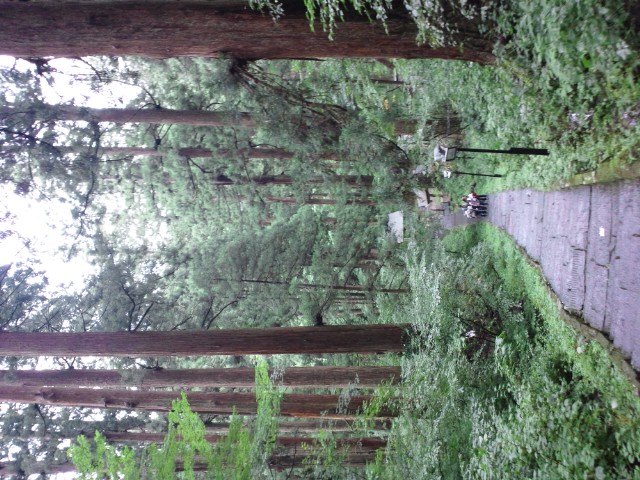 �܂邶��@�܂邶��@����܂���